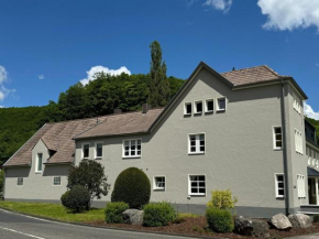 Spacious holiday home in the Eifel National Park